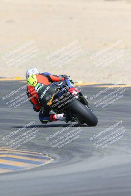 media/Mar-10-2024-SoCal Trackdays (Sun) [[6228d7c590]]/9-Turn 8 Backside (1150am)/